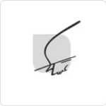 مجموعه مجتبی تمسکی